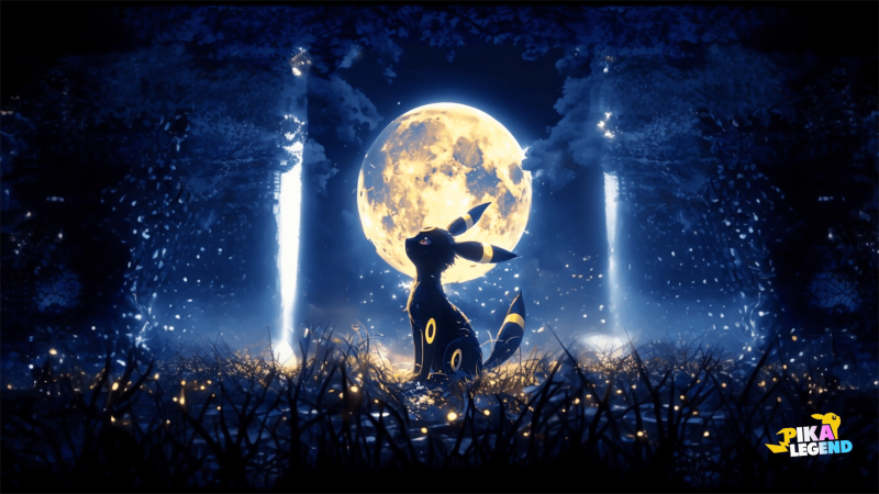 Passion, Conseils et Nouveautés à Portée de Main !