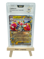 Vente de cartes Pokemon TCG à Lyon en Rhône-Alpes 69