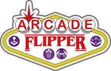 VENTES ET LOCATIONS DE FLIPPERS ET PRODUITS D'ARCADE RHONE- ALPES/VAULX EN VELIN ARCADE FLIPPER